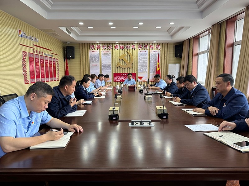 聚焦問(wèn)題謀改革 強(qiáng)化措施促發(fā)展丨盛源公司召開(kāi)5月份經(jīng)濟(jì)分析會(huì)